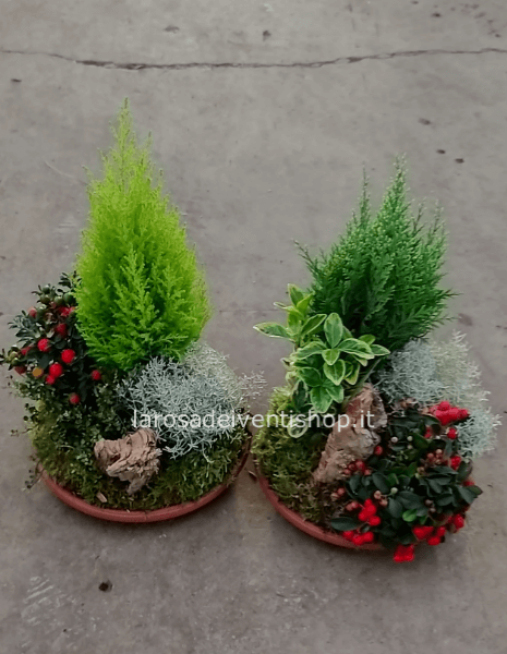 Composizione autunnale piatto 