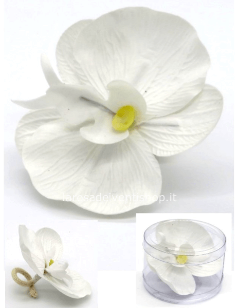 Ricambio stoppino Orchidea Bianco Hypno casa