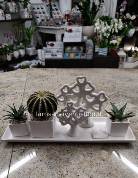 Alberi della Vita Cuori vassoio in gesso con piante grasse e vassoio dimensioni 43x10.5xh21 cm
