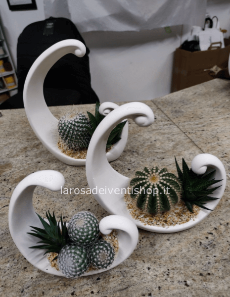 Vaso Virgola in gesso con pianta grassa piccolo dimensioni 16x7xh22 cm 