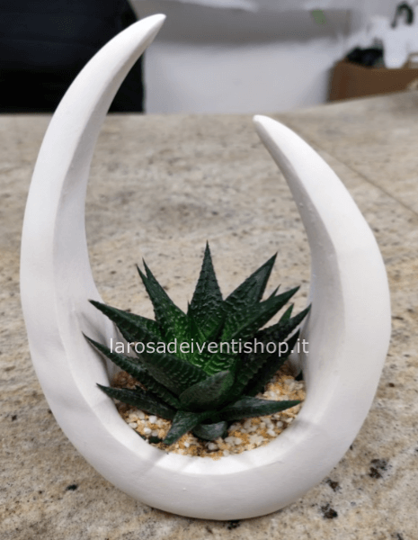 Luna in gesso con pianta grassa dimensioni 16x7xh24 cm