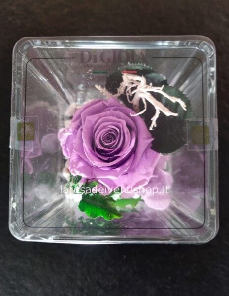 Cubo in vetro con rosa e ortensia stabilizzata
