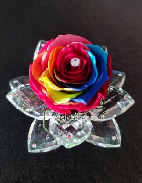 Ninfea con rosa stabilizzata multicolore grande con scatola regalo