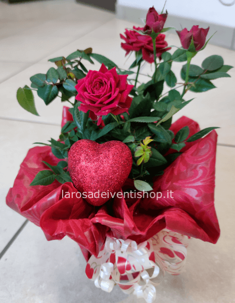 Roselline con cuore