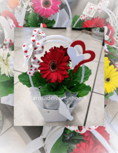 Gerbera in shopper