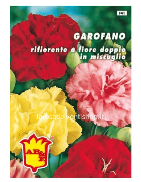 Semi di Garofano rifiorente a fiore doppio in miscuglio - Busta termosaldata dimensioni 12 x 17 cm