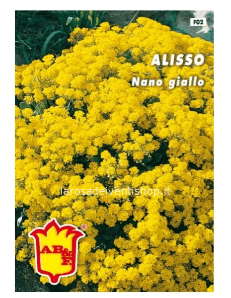 Bustina Semi Alisso Giallo nano