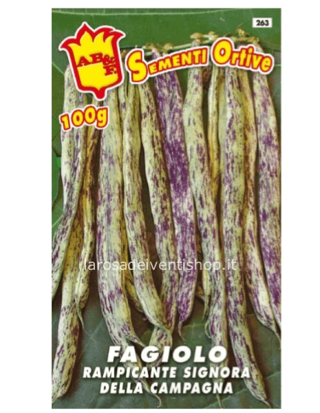 Semi d  Fagiolo rampicante Signora della campagna- Busta 100 gr termosaldata dimensioni 12 x 17 cm