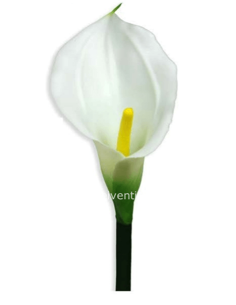 Calla Bianca h 75 cm sintetico