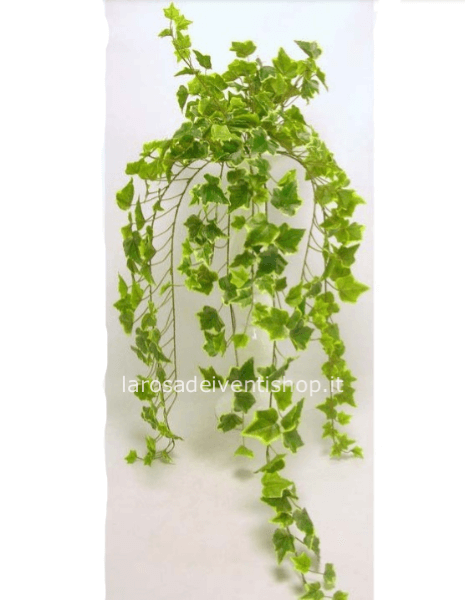 Mazzo di edera variegata sintetica lunga 100 cm