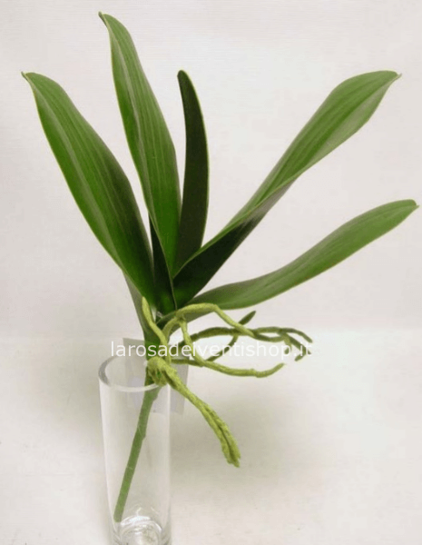 Foglia orchidea Phalenopsis h 40 cm sintetica