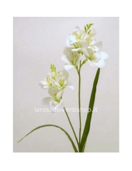 Fresia Bianca sintetica stelo h 60 cm