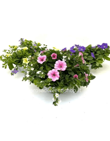 Composizioni primavera/estate mix