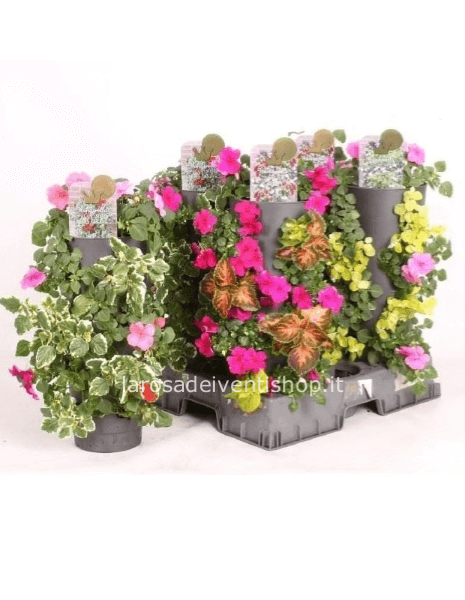 Composizone giardino verticale