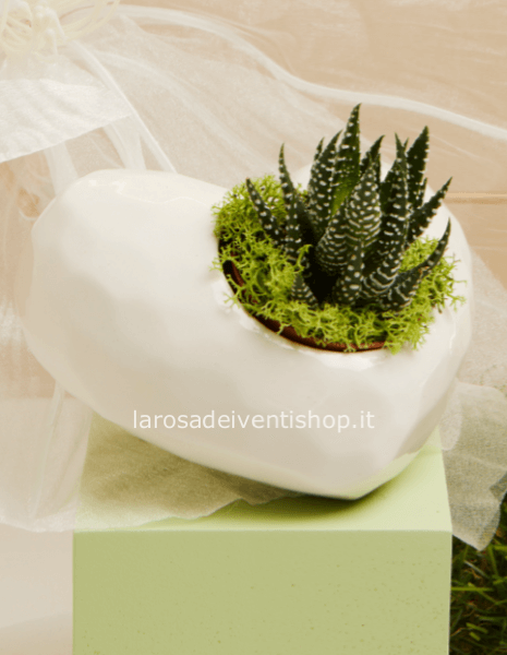 Vaso cuore orizzontale bianco con pianta