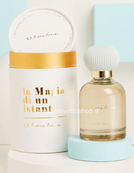 Diffusore grigio con tappo in gesso grande