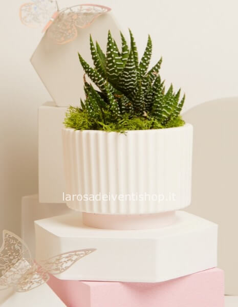 Vasetto ceramica con pianta a base rosa grande