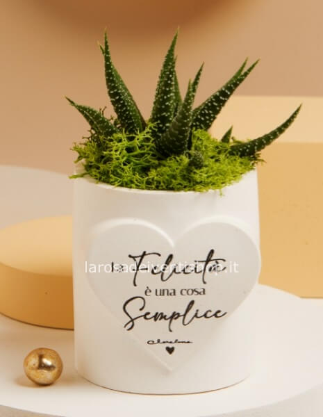 Vasetto con cuore e piantina grassa