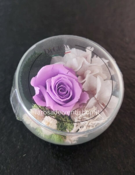 Mezza sfera diam. 8 cm copertura in plexiglass e composizione con  rosa e ortensia stabilizzate