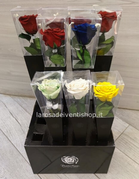 Rosa Stabilizzata a stelo in cono 30 cm
