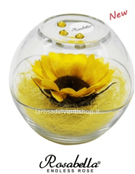 Girasole stabilizzato globo medio